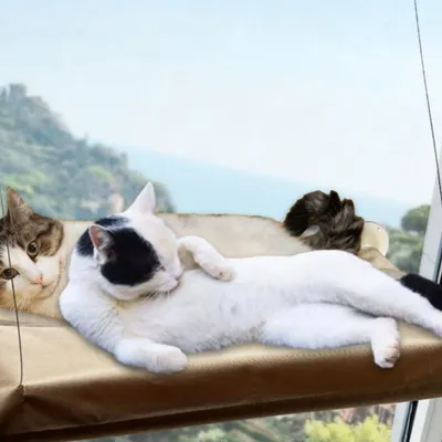 IntiMeg  Hamac pour chat ultra doux