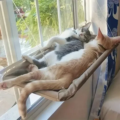 IntiMeg  Hamac pour chat ultra doux