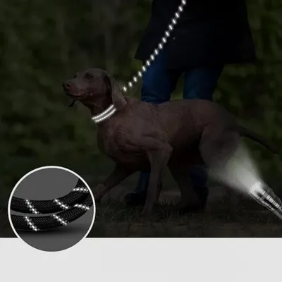 IntiMeg Laisse pour chien avec fil réfléchissant