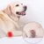 IntiMeg Protectiveur de genoux pour chien