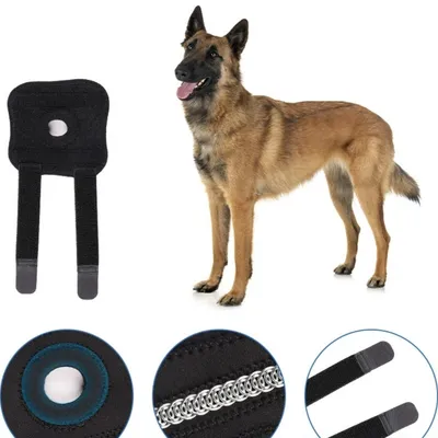 IntiMeg Protectiveur de genoux pour chien