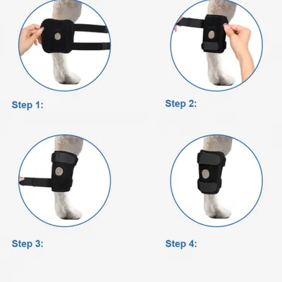 IntiMeg Protectiveur de genoux pour chien