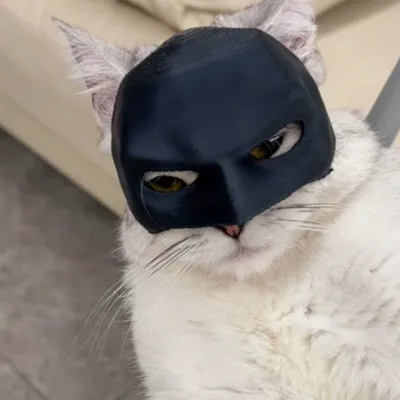 IntiMeg Masque Batman pour chat