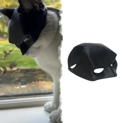 IntiMeg Masque Batman pour chat