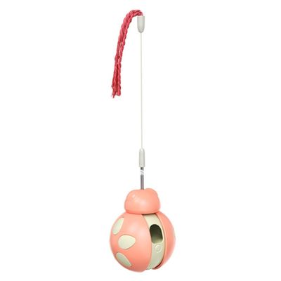 IntiMeg Jouet interactif Tumbler Coccinelle