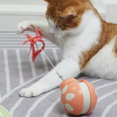 IntiMeg Jouet interactif Tumbler Coccinelle