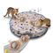 IntiMeg Abri de chasse avec balle interactive pour chat Boule grise