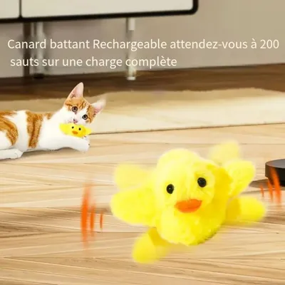 IntiMeg  Jouet interactif pour chat, canard batteur
