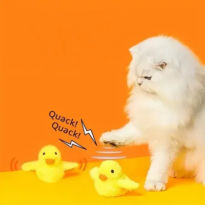 IntiMeg  Jouet interactif pour chat, canard batteur