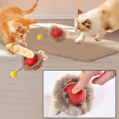 IntiMeg Abri de chasse avec balle interactive pour chat