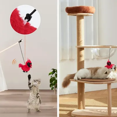 IntiMeg Jouet intelligent pour chat oiseau rouge