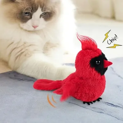 IntiMeg Juguete inteligente para gatos, pájaro rojo