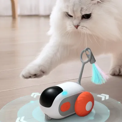 IntiMeg Jouet pour chat voiture intelligente avec plumes