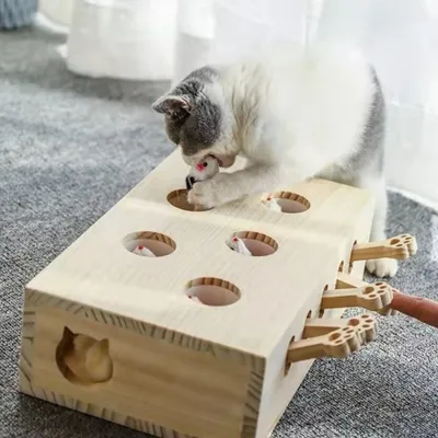 IntiMeg Jouet pour chat Whack-A-Mole