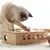 IntiMeg Jouet pour chat Whack-A-Mole