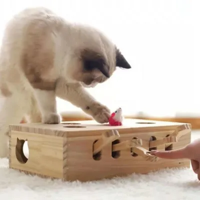 IntiMeg Jouet pour chat Whack-A-Mole