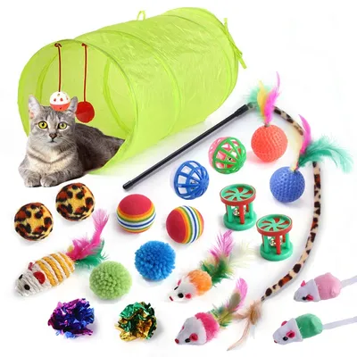 IntiMeg Jeu de jouets pour chat - Pack de 21 pièces variées