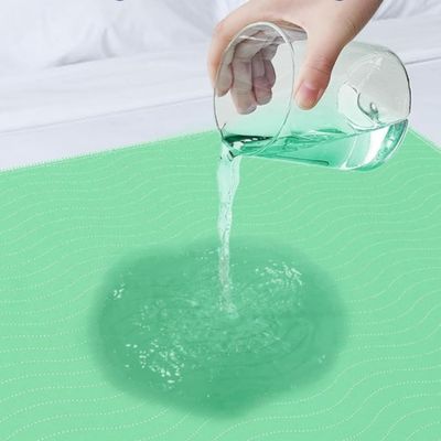 IntiMeg Coussinet urinaire réutilisable pour chien