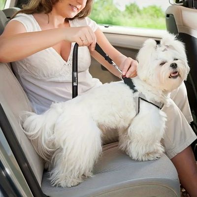 IntiMeg Sicherheitsgurt für Hunde im Auto