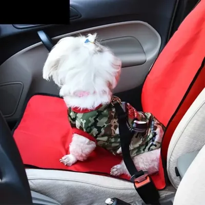 IntiMeg Ceinture de sécurité rétractable pour voiture