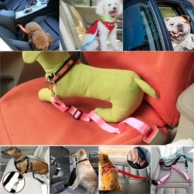 IntiMeg Ceinture de sécurité rétractable pour voiture