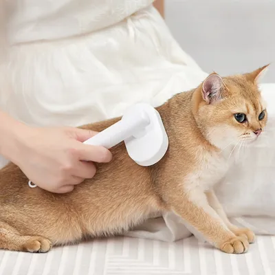 IntiMeg Brosse et peigne d'épilation