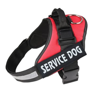 IntiMeg Harnachement et laisse pour grands chiens