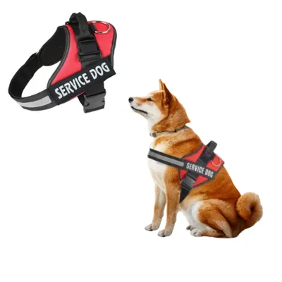 IntiMeg Harnachement et laisse pour grands chiens IntiMeg Harnachement et laisse pour grands chiens