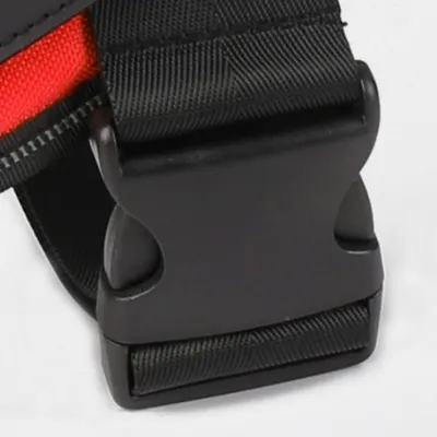 IntiMeg Harnachement et laisse pour grands chiens