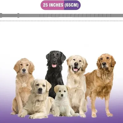 IntiMeg Collier calmant pour chien (4 pièces)