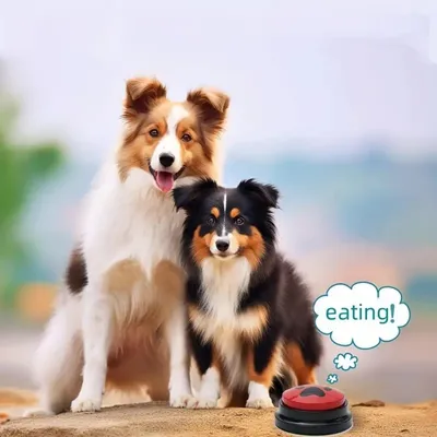 IntiMeg Jouets d'entraînement pour chien Boutons avec LED