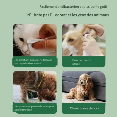 IntiMeg Lingettes de toilettage pour animaux de compagnie