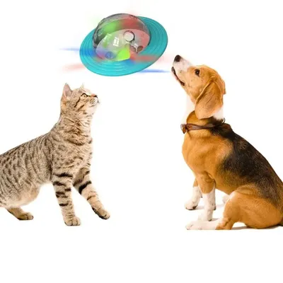 IntiMeg Jouet interactif pour chien Soucoupe volante