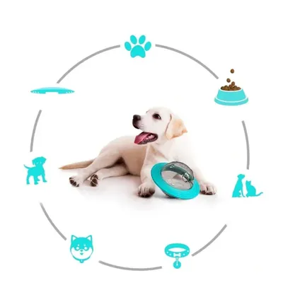 IntiMeg Jouet interactif pour chien Soucoupe volante