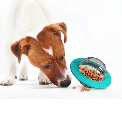 IntiMeg Jouet interactif pour chien Soucoupe volante