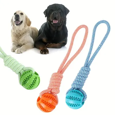 IntiMeg Jouet interactif pour chien - Balle tissée