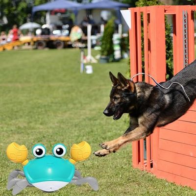 IntiMeg Jouet électrique pour chien Crabe