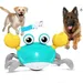 IntiMeg Jouet électrique pour chien Crabe