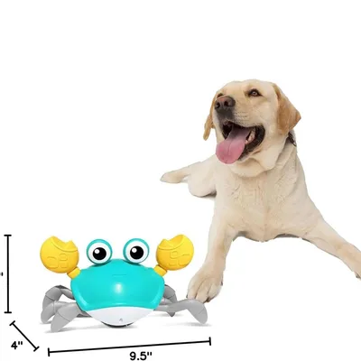 IntiMeg Jouet électrique pour chien Crabe