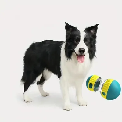 IntiMeg Jouet interactif pour chienSlow Food Ball