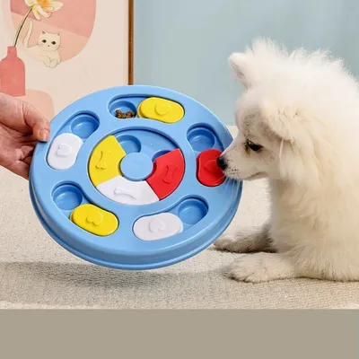 IntiMeg  Plateau de dressage interactif pour chien