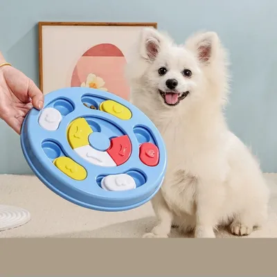 IntiMeg  Plateau de dressage interactif pour chien