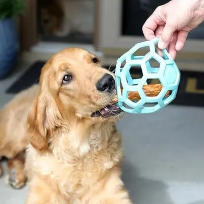 Jouet pour Chien, Jouet Chien Indestructible, Résistant à la Morsure Bâton