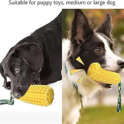 Jouet pour Chien, Jouet Chien Indestructible, Résistant à la Morsure Bâton
