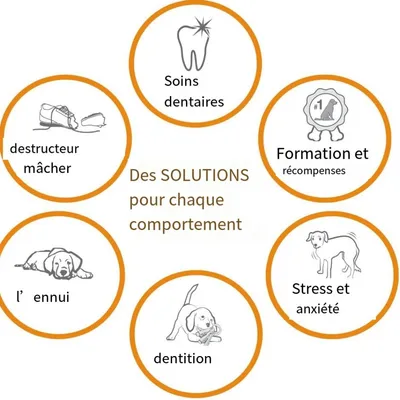 IntiMeg Anneau texturé pour jouet pour chien