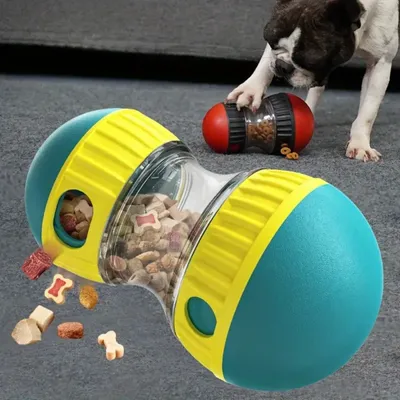 IntiMeg Balle jouet interactive pour chien