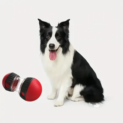 IntiMeg Balle jouet interactive pour chien