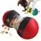 IntiMeg Balle jouet interactive pour chien 1 Article