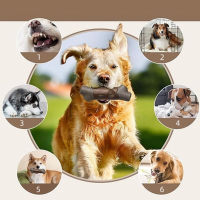 IntiMeg Jouet à mâcher pour chien
