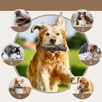 IntiMeg Jouet à mâcher pour chien